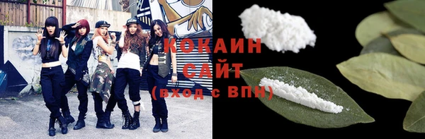 индика Богданович