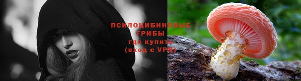 индика Богданович
