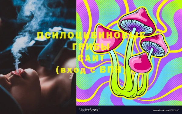 индика Богданович