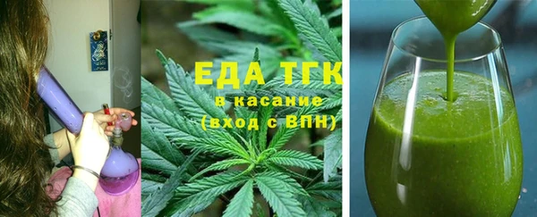 индика Богданович