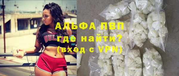 индика Богданович