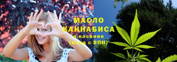 индика Богданович