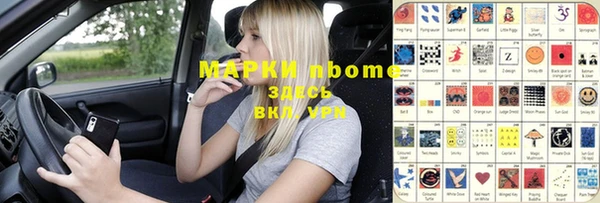 индика Богданович