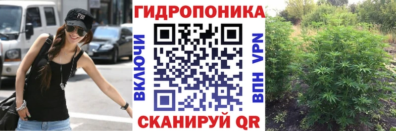 Шишки марихуана план  MEGA tor  Кировград 